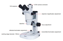 Zoom Stereo Microscope (Advanced Type)- ISM-ZS100T
