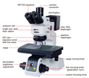 Metallurgical Microscopes (Professional Type)-5108