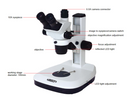 Zoom Stereo Microscope (Professional Type) - 5107