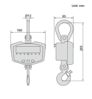 Electronic Crane Scales - 8203
