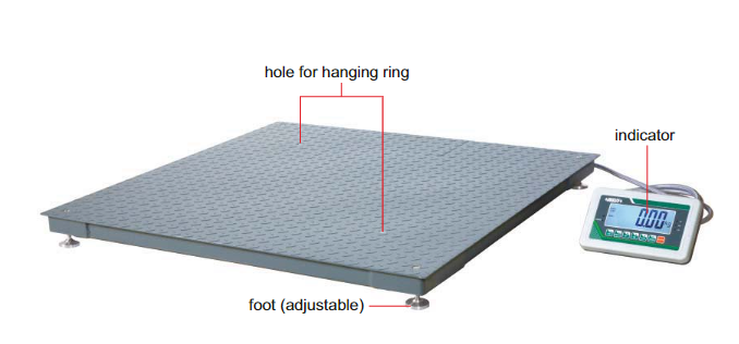 Floor Scales - 8401