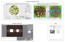 Metallurgical Analysis Software & Camera - ISM-MAS
