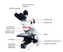 Metallurgical Microscope - 5113-M850