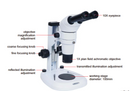 Parallel Light Stereo Microscope - ISM-ZS200